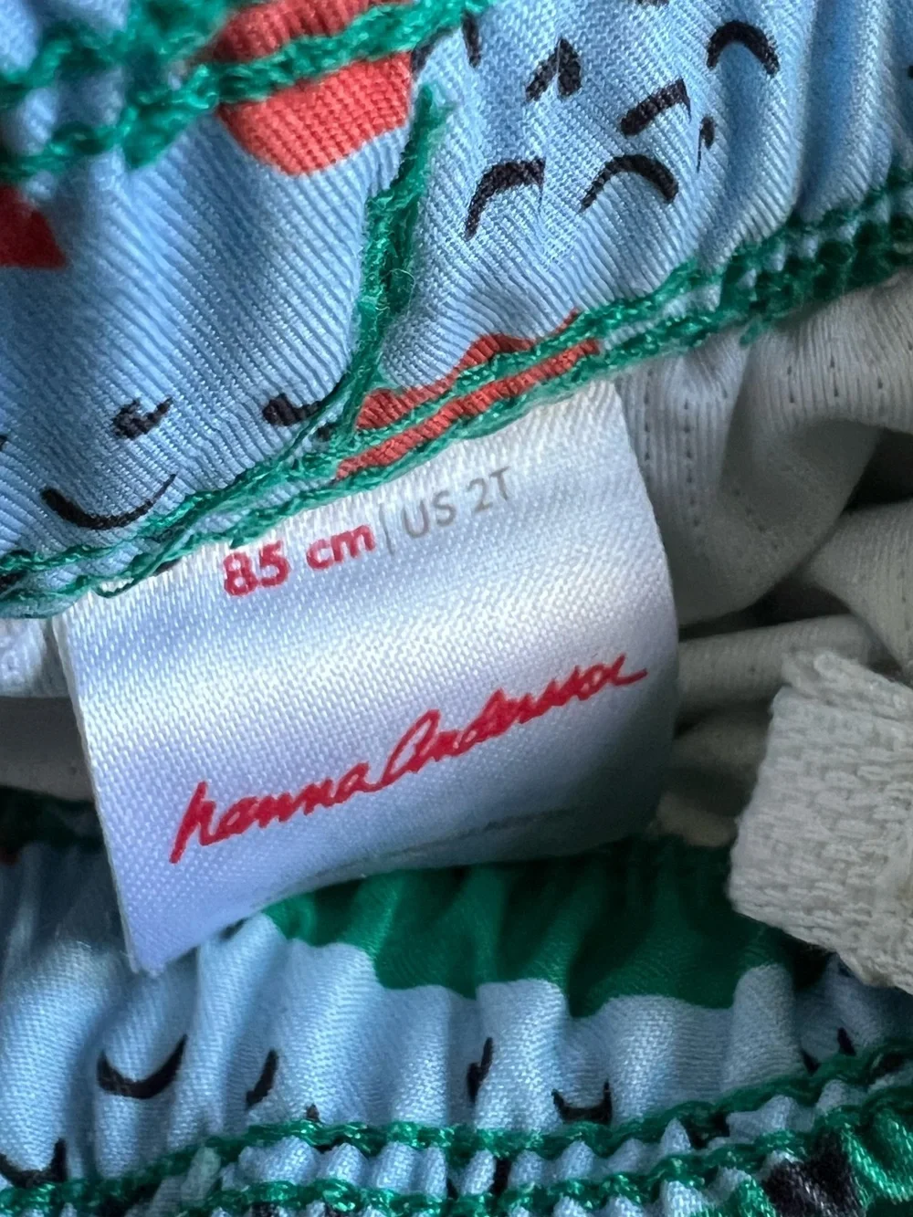 Hanna Andersson / Swim Shorts